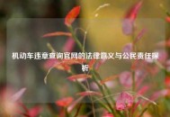 机动车违章查询官网的法律意义与公民责任探析