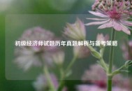 初级经济师试题历年真题解析与备考策略