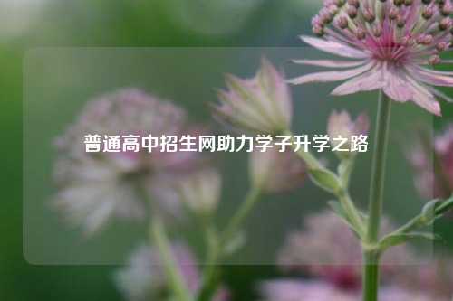 普通高中招生网助力学子升学之路
