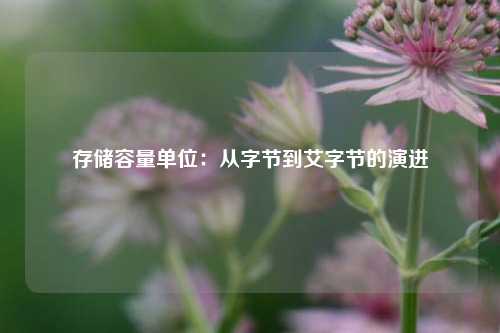 存储容量单位:从字节到艾字节的演进