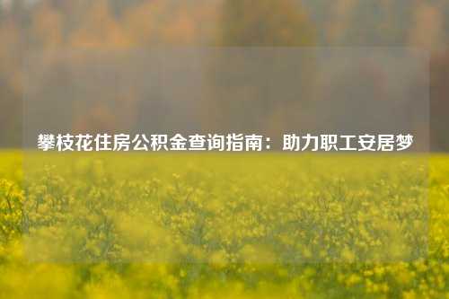 攀枝花住房公积金查询指南:助力职工安居梦