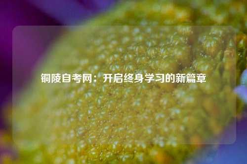 铜陵自考网:开启终身学习的新篇章
