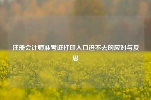 注册会计师准考证打印入口进不去的应对与反思