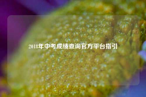 2018年中考成绩查询官方平台指引