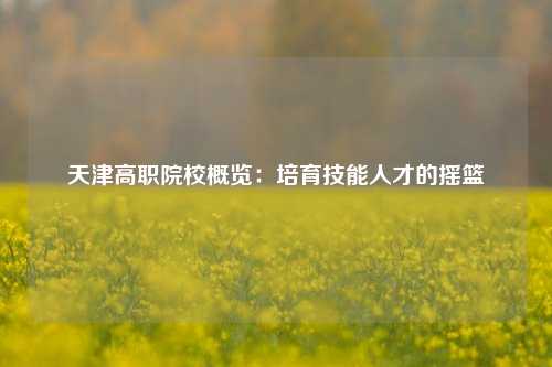 天津高职院校概览:培育技能人才的摇篮
